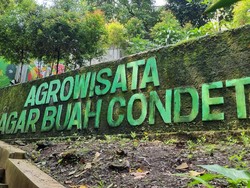 Serba-serbi Buah Bersisik yang Jadi Maskot Jakarta