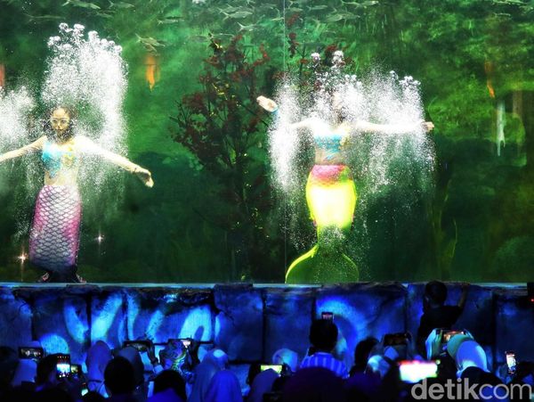Aksi Putri Duyung Hibur Pengunjung Ocean Dream Ancol