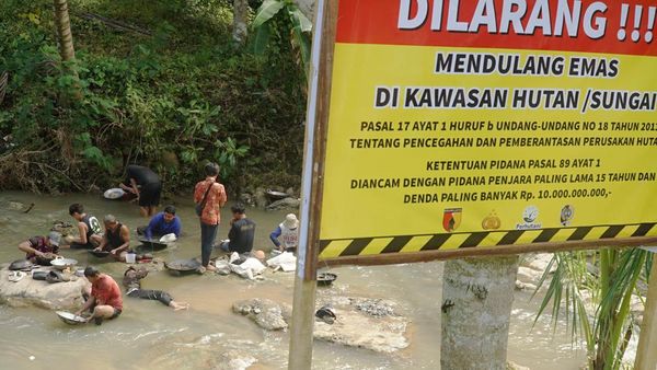Demi Rupiah, Warga Nekat Berburu Emas Meski Sudah Dilarang