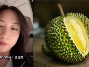 Turis China Kena Denda Rp 2,5 Juta Gegara Bawa Durian ke Hotel Turis China Kena Denda Rp 2,5 Juta Gegara Bawa Durian ke Hotel