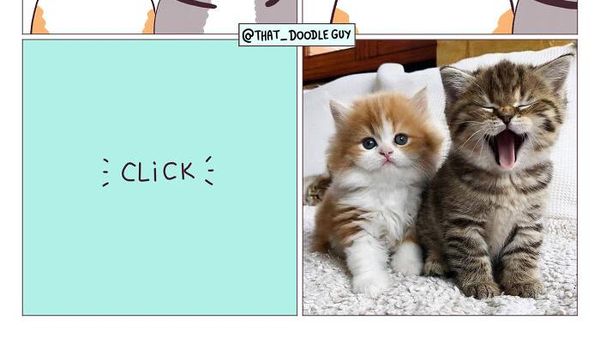 Komik Lucu dan Menggemaskan yang Bikin Harimu Lebih Ceria