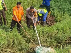Buntelan Karung Bikin Geger di Tangsel, Dikira Mayat Ternyata Bangkai Kambing Buntelan Karung Bikin Geger di Tangsel, Dikira Mayat Ternyata Bangkai Kambing