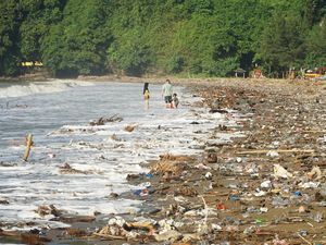 Sampah Timbun Pantai Gemah Usai Banjir Bandang