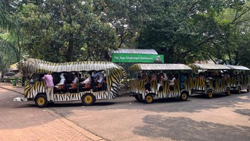 Image of: KJP Plus Gratiskan Ragunan, Warga Girang, Dompet Aman!