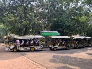 Warga Senang Peserta KJP Plus Gratis Masuk Ragunan: Jadi Bisa Ngirit