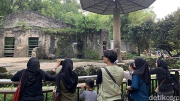 Image of: Ragunan, Obat Stres Mujarab Warga Jakarta!