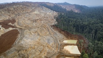 10 Negara dengan Kehilangan Hutan Terbanyak Akibat Pertambangan, RI Pertama?