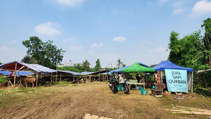 Tempat pemasaran sapi kurban berdiri di lahan BMKG di Tangsel yang sempat dikuasai ormas GRIB Jaya (Adrial/detikcom) Tempat pemasaran sapi kurban berdiri di lahan BMKG di Tangsel yang sempat dikuasai ormas GRIB Jaya (Adrial/detikcom)