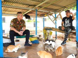 Kucing Jalanan, Overpopulasi, Sterilisasi & Rencana Besar di Kepulauan Seribu