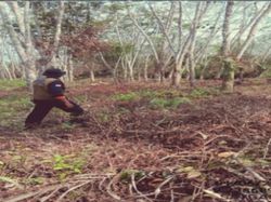 Patroli BPBD Muba Temukan Lahan Terbakar-Dominan Rawan Karhutla