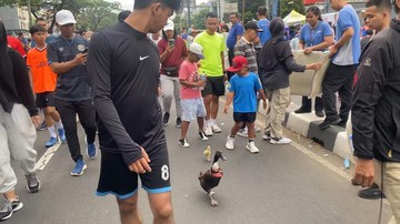 Image of: Warga Bersyukur Dapat Membawa Bebek ke CFD Depok: Berbeda dengan Jakarta