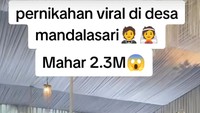 Mahar Tak Masuk Akal! 10 Pernikahan Viral 2025 dari Rp 2,3 M hingga 100 Luwak