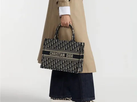 Dior Book Tote
