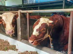 Viral QR Code Kurban: Amankah Bayar Pembelian Hewan Kurban via Link Digital? Viral QR Code Kurban: Amankah Bayar Pembelian Hewan Kurban via Link Digital?