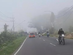 Fenomena Langka Kabut Tebal Selimuti Wilayah Gresik Pagi Ini