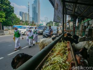 Lapak Hewan Kurban Penuhi Trotoar Tanah Abang