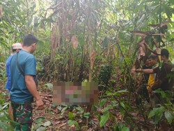 Mayat Pria Tanpa Kepala Ditemukan di HSS, Diduga Korban Bentrok 2 Kelompok