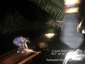 Polisi Bongkar Illegal Logging di Meranti Riau, 20 Ton Kayu Disita