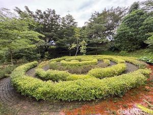 Taman Ekologis Anang Hasyim Samarinda, Spot Bengong Gratis Buka 24 Jam Taman Ekologis Anang Hasyim Samarinda, Spot Bengong Gratis Buka 24 Jam