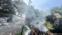 Uhuk-uhuk, Bakar Sampah Sembarangan Bisa Picu ISPA