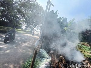 Uhuk-uhuk, Bakar Sampah Sembarangan Bisa Picu ISPA Uhuk-uhuk, Bakar Sampah Sembarangan Bisa Picu ISPA