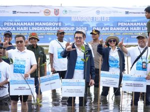 Freeport & KLH Kebut Program Rehabilitasi Mangrove di Kalsel