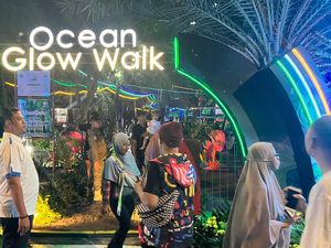 Melihat Keindahan Alam Bawah Laut Jakarta Illumination Island Melihat Keindahan Alam Bawah Laut Jakarta Illumination Island