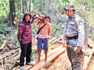Berantas Kayu Ilegal di Kaltara, Patroli Hutan Digencarkan Berantas Kayu Ilegal di Kaltara, Patroli Hutan Digencarkan