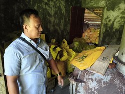 5 Hal soal Anak Wawalkot Gunungsitoli Diperiksa Polisi Terkait Limbah Medis