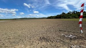 Melihat dari Dekat Lokasi Proyek Garam di NTT Rp 2 T yang Direstui Prabowo