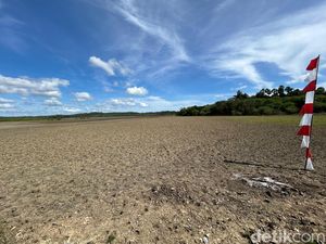 Melihat dari Dekat Lokasi Proyek Garam di NTT Rp 2 T yang Direstui Prabowo Melihat dari Dekat Lokasi Proyek Garam di NTT Rp 2 T yang Direstui Prabowo
