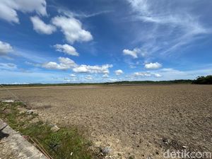 KKP Tawarkan Lahan 8.000 Ha di Rote Ndao ke Investor buat Produksi Garam