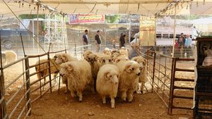 Tradisi Kurban Hidupkan Pasar Hewan di Yordania