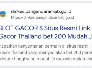 Situs Pemkab Pangandaran Diretas Judi Online, Diserang 250 Juta Kali