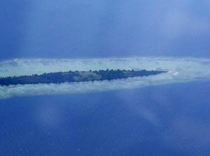 KKP Bongkar Praktik Gelap di Pulau Kecil, 3.000 Pelaku Usaha Tak Berizin KKP Bongkar Praktik Gelap di Pulau Kecil, 3.000 Pelaku Usaha Tak Berizin