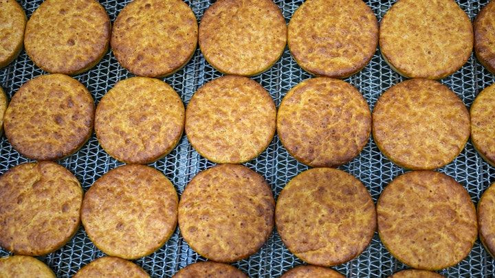 Wow! Roti Berusia 5.000 Tahun Ini Masih Awet di dalam Tanah