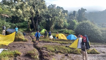 Tiga Jalur Pendakian Gunung Kerinci Dibuka Kembali Oktober 2026