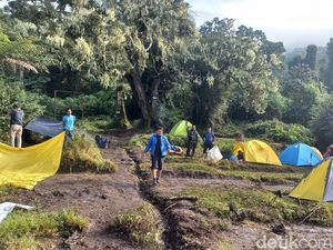 Tenang, Tak Ada Kapling-kapling Area Kemping di Gunung Kerinci Tenang, Tak Ada Kapling-kapling Area Kemping di Gunung Kerinci