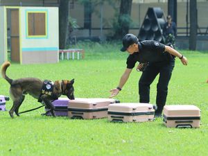 Polisi Satwa Perkuat Anjing K9 untuk Misi Penyelamatan hingga Lacak Narkoba Polisi Satwa Perkuat Anjing K9 untuk Misi Penyelamatan hingga Lacak Narkoba