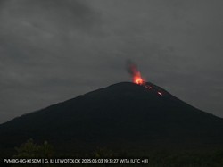 Gunung Ile Lewotolok NTT Erupsi, Semburkan Lava 300 Meter