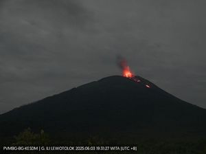 Gunung Ile Lewotolok NTT Erupsi, Semburkan Lava 300 Meter Gunung Ile Lewotolok NTT Erupsi, Semburkan Lava 300 Meter