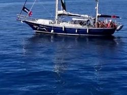 Video: Para Aktivis Berlayar dari Italia ke Gaza Bawa Bantuan Kemanusian