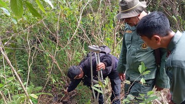 Nasib Tragis Macan Tutul Jawa: Mati Terjerat Kawat di Garut