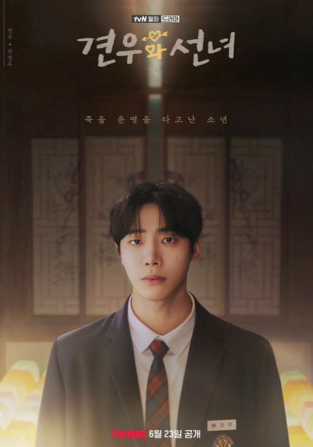 Potret Choo Young Woo dalam poster drama 'Head Over Heels'