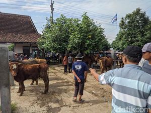 Harga Sapi Kurban di Pasar Jetis Ponorogo Turun H-2 Idul Adha Harga Sapi Kurban di Pasar Jetis Ponorogo Turun H-2 Idul Adha