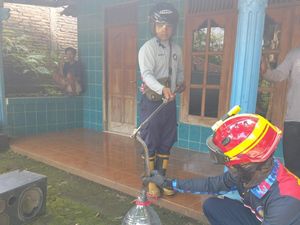 Hii! Ular Kobra Jawa Ngumpet di Sound System Warga Boyolali Hii! Ular Kobra Jawa Ngumpet di Sound System Warga Boyolali