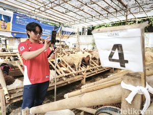 Live dari Kandang, Jurus Pedagang Hewan Kurban Bandung Cari Pembeli Live dari Kandang, Jurus Pedagang Hewan Kurban Bandung Cari Pembeli