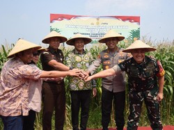 Dukung Swasembada Pangan, Pemkab Sidoarjo Bantu 300 Ton Benih Jagung