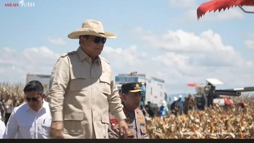 Pemerintah Pede Mulai Tahun Depan Setop Impor Jagung