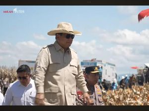 Pemerintah Pede Mulai Tahun Depan Setop Impor Jagung Pemerintah Pede Mulai Tahun Depan Setop Impor Jagung